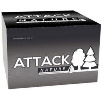 New_Legion_Attack_NATURE_Paintballs_2000er_Karton