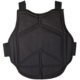 FIELD_Chest_Protector_schwarz_Adult_back.jpg